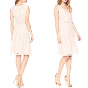 Adrianna Papell FIT and Flare Lace Dress, Blush